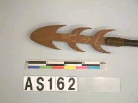 藏品(槍)的圖片